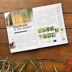Spirit-Magazin: Waldstark in den Herbst