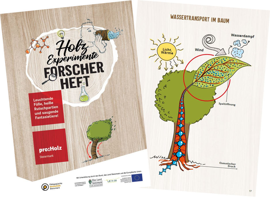 Holz Macht Schule Proholz Steiermark